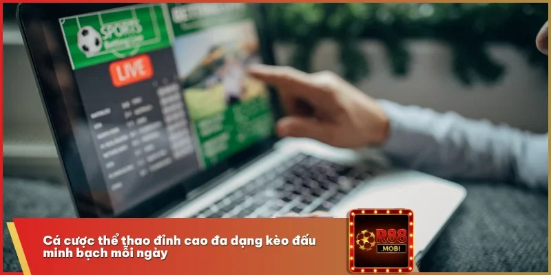 Cá cược thể thao đỉnh cao đa dạng kèo đấu minh bạch mỗi ngày